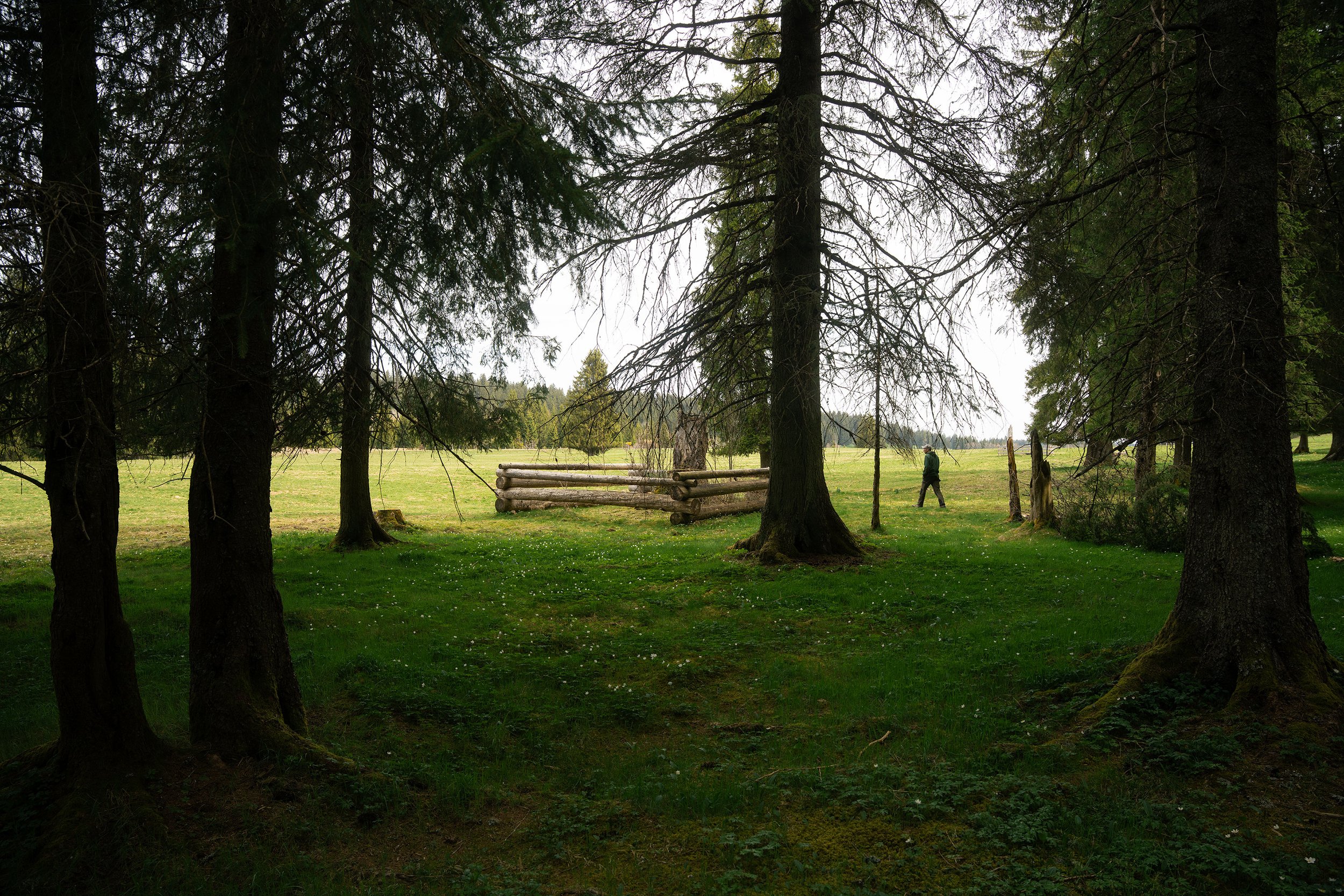 _DSC9009.jpg