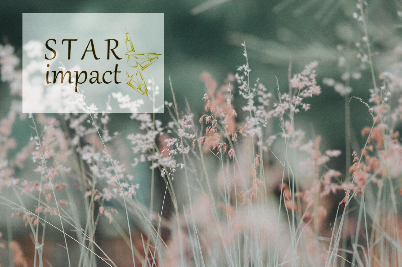 GU Ventures projekt "Star Impact" beviljades projektstöd av Tillväxtverket