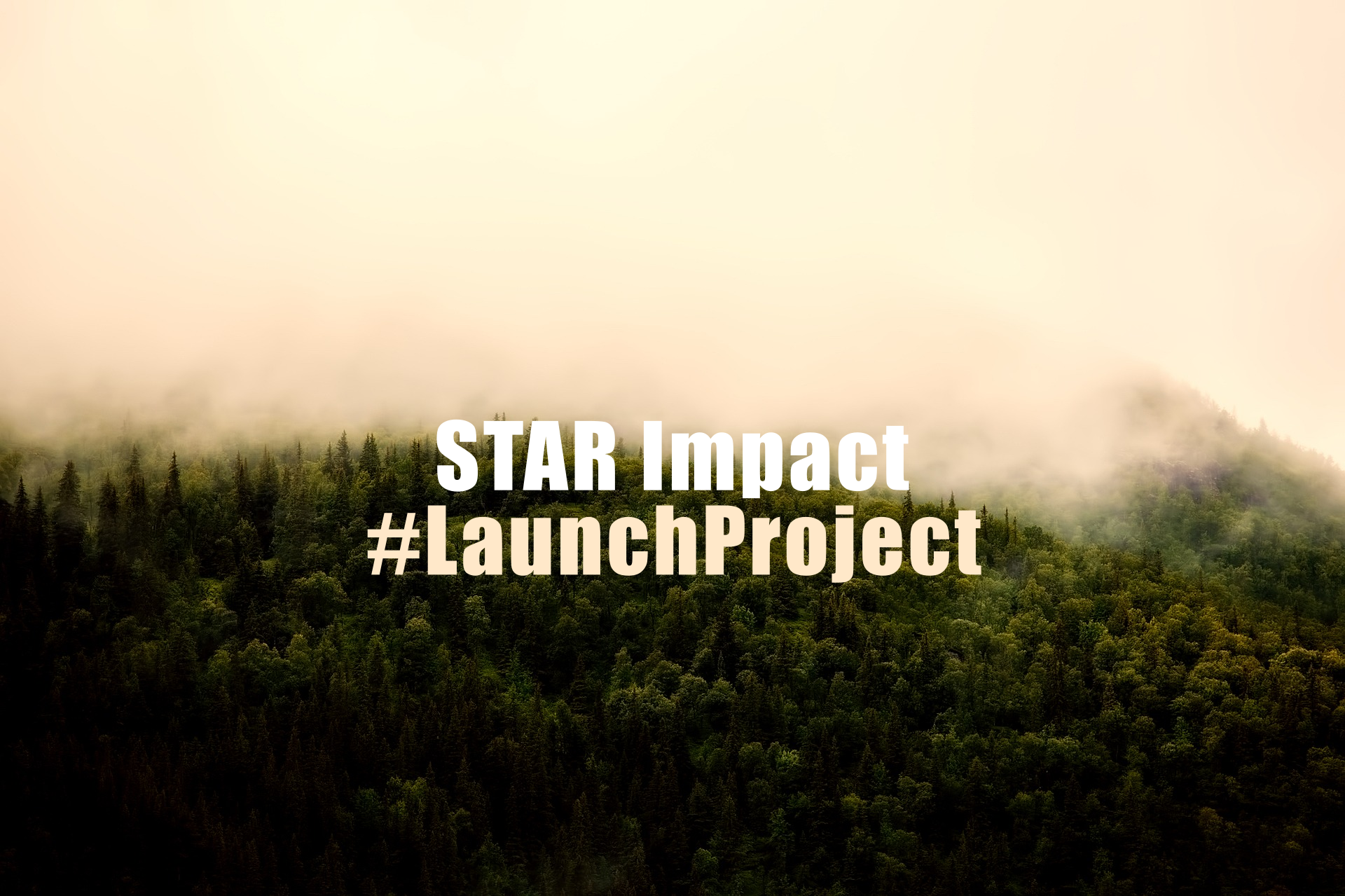 Ansökan till STAR Impact Launch Project är nu öppen!
