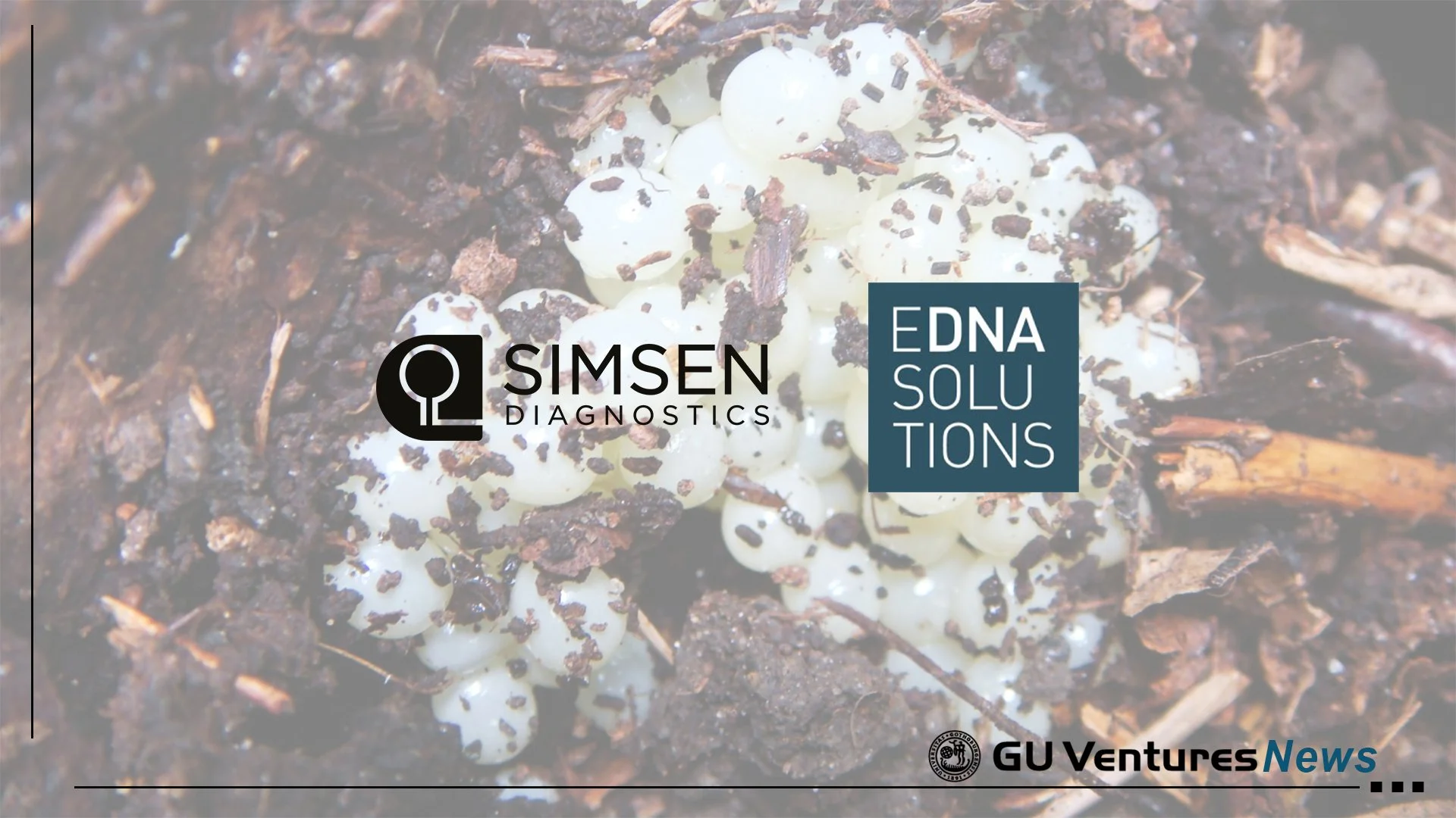 Cancerdiagnostikbolaget Simsen Diagnostics skapar tillsammans med eDNA solutions AB framtidens teknik för övervakning av biologisk mångfald