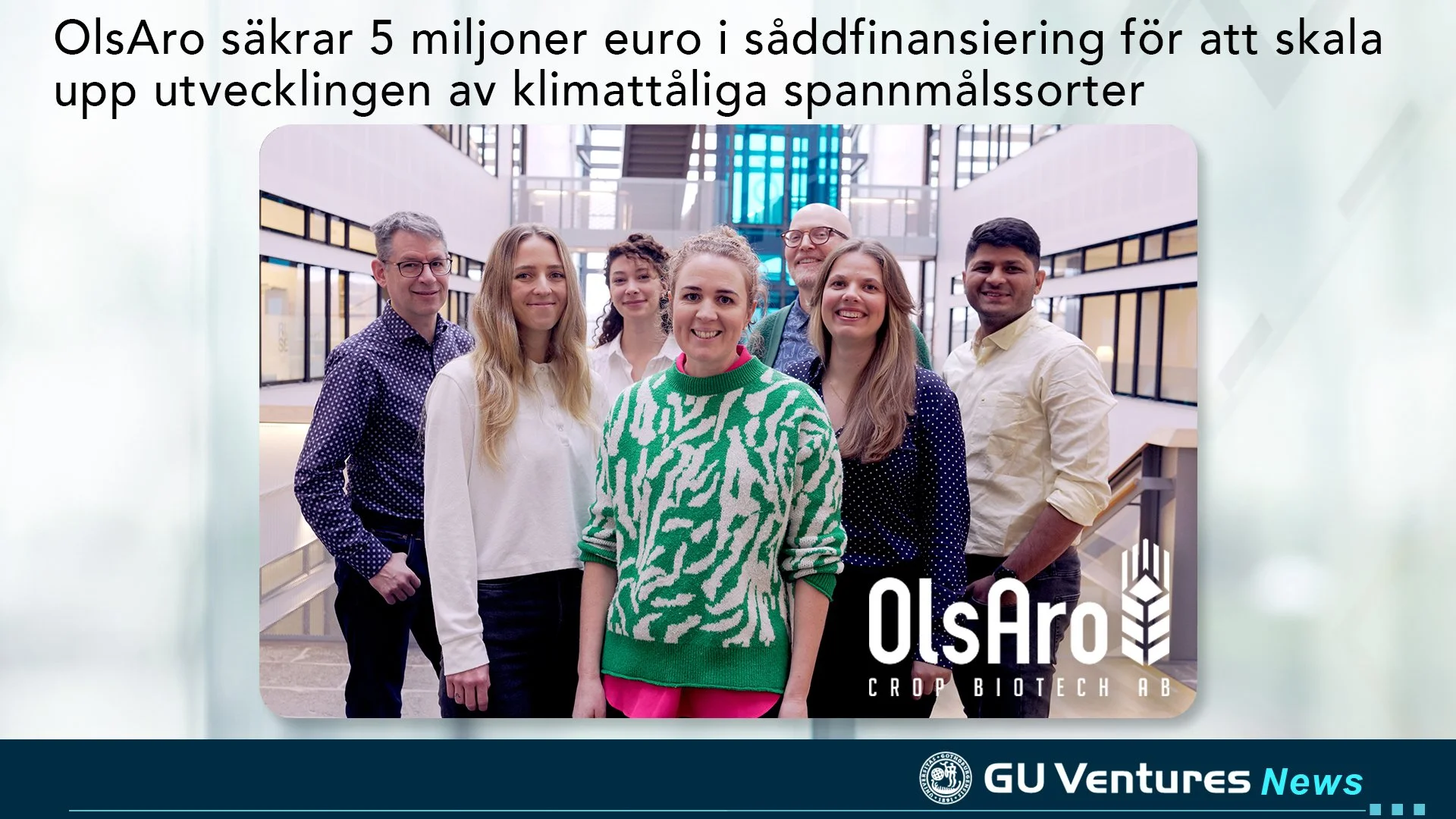 OlsAro säkrar 5 miljoner euro i såddfinansiering för att skala upp utvecklingen av klimattåliga spannmålssorter