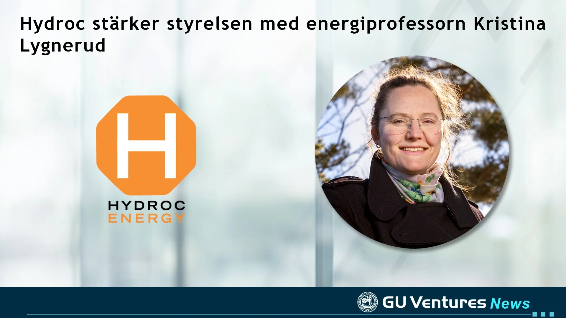 Hydroc stärker styrelsen med energiprofessorn Kristina Lygnerud