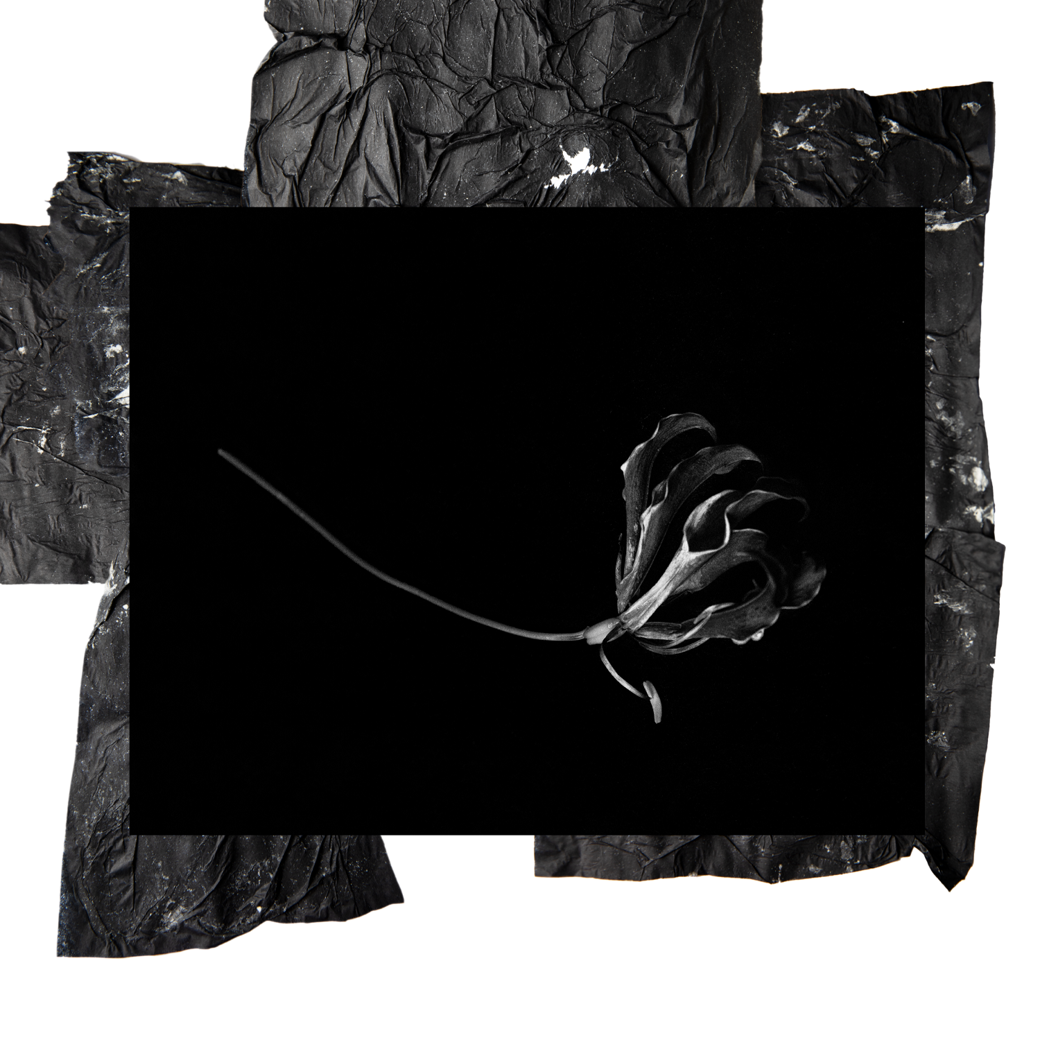 YLANG SMALL SQUARE for web.png