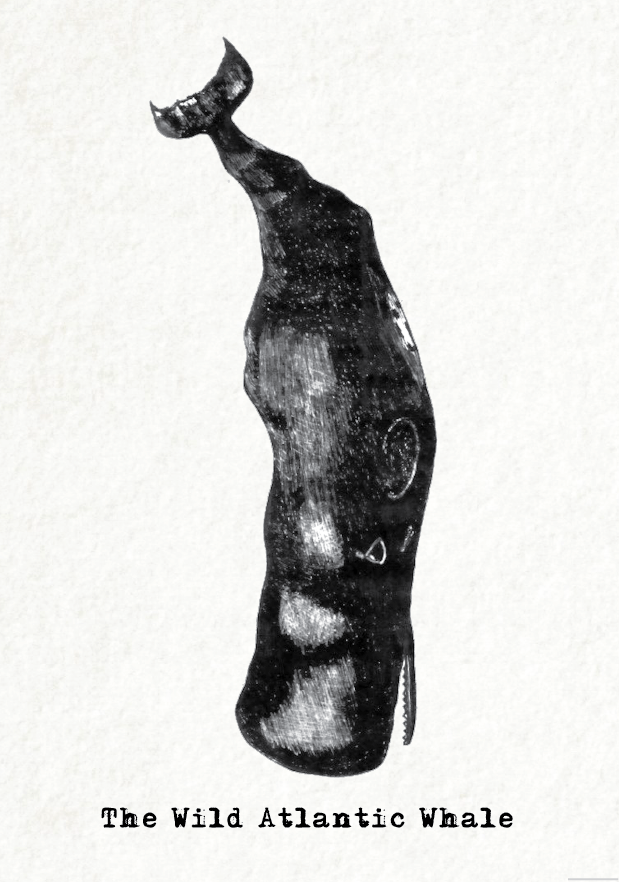 Wild Irish Animal_Whale Card Front.png