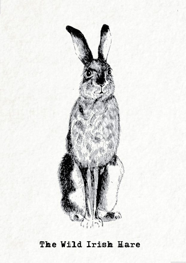 Wild Irish Animal_Hare Card Front.png