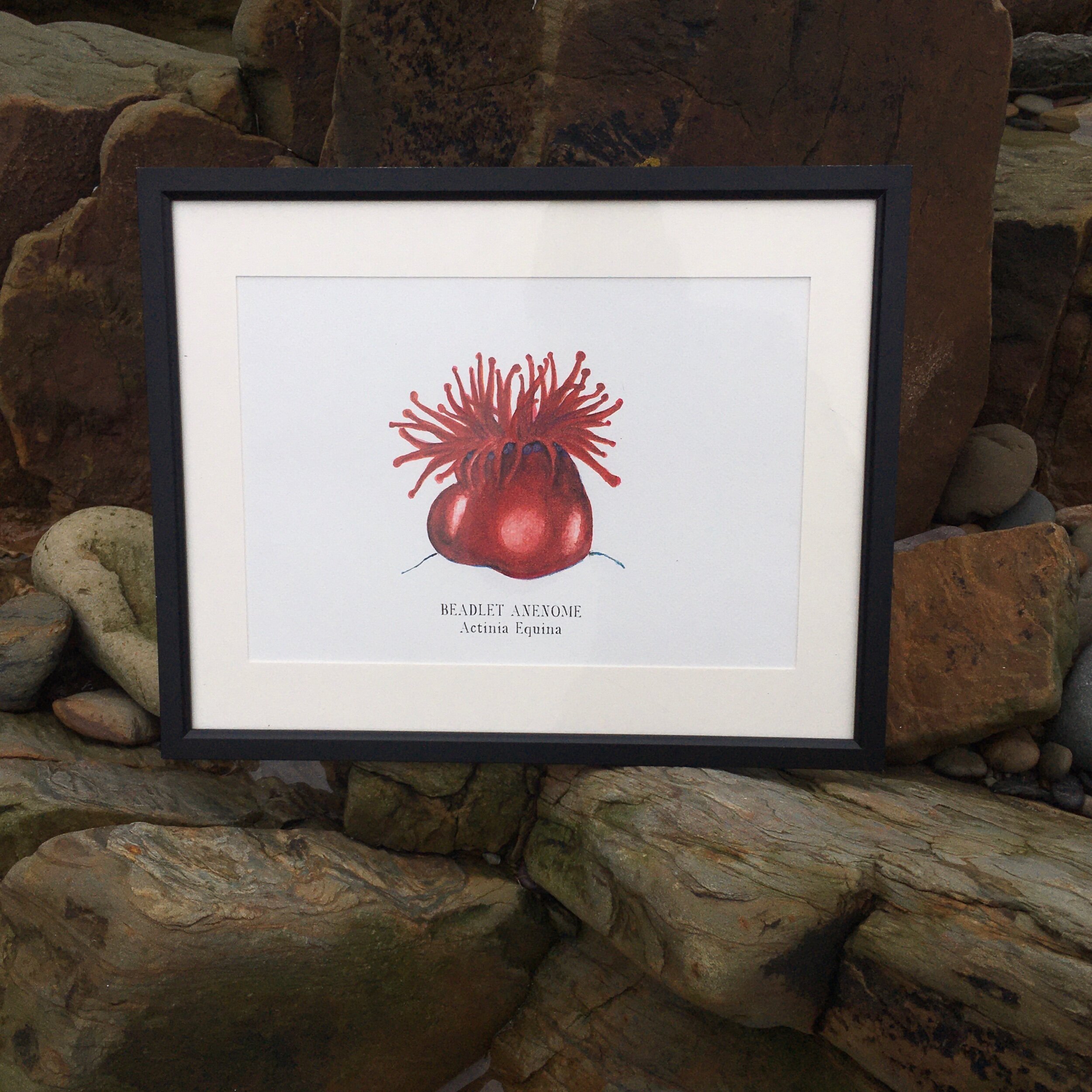 EBA841A9-F28D-4B01-B815-F9A60CFB5B43