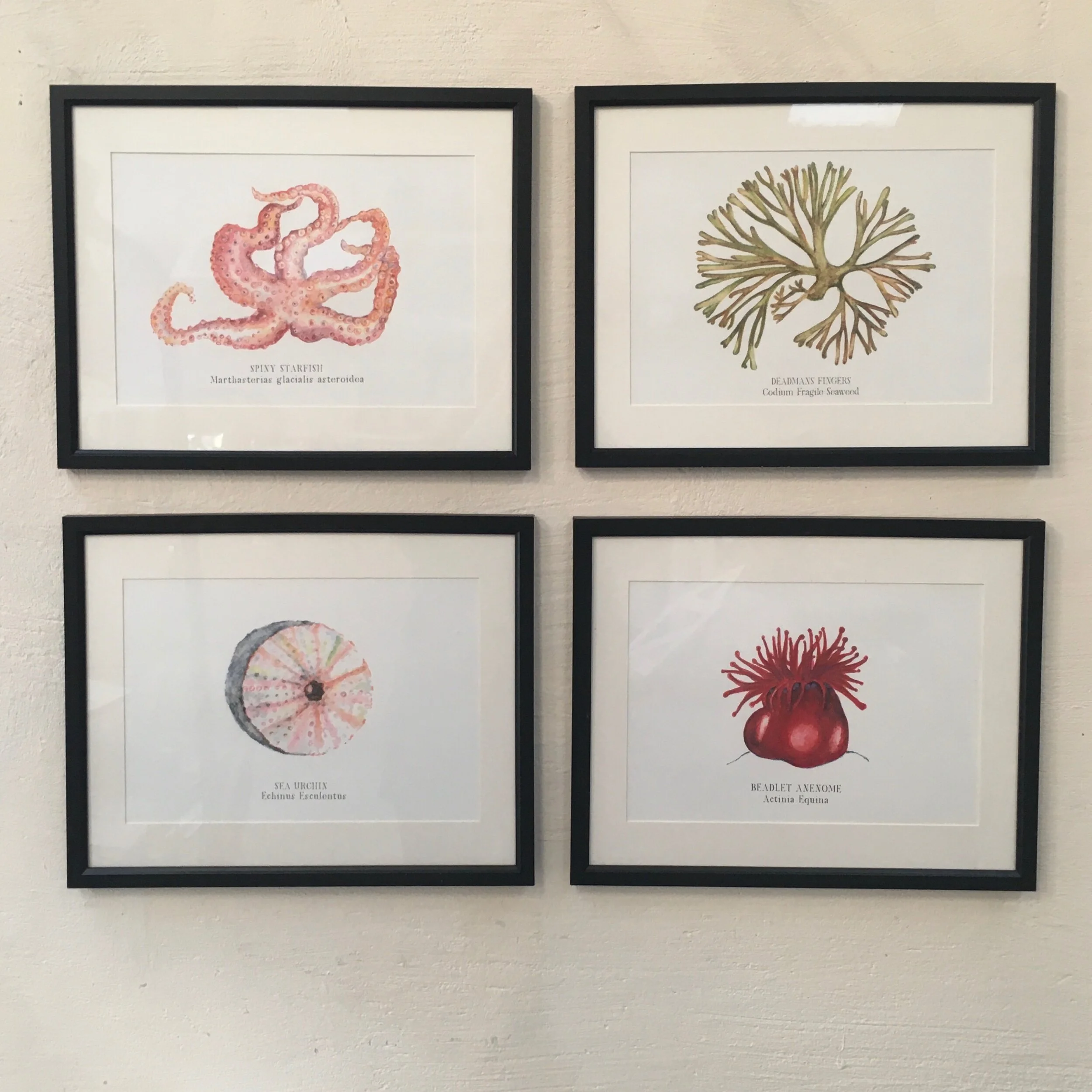 F7FC76A2-D2B4-4565-A952-9E54C2271971