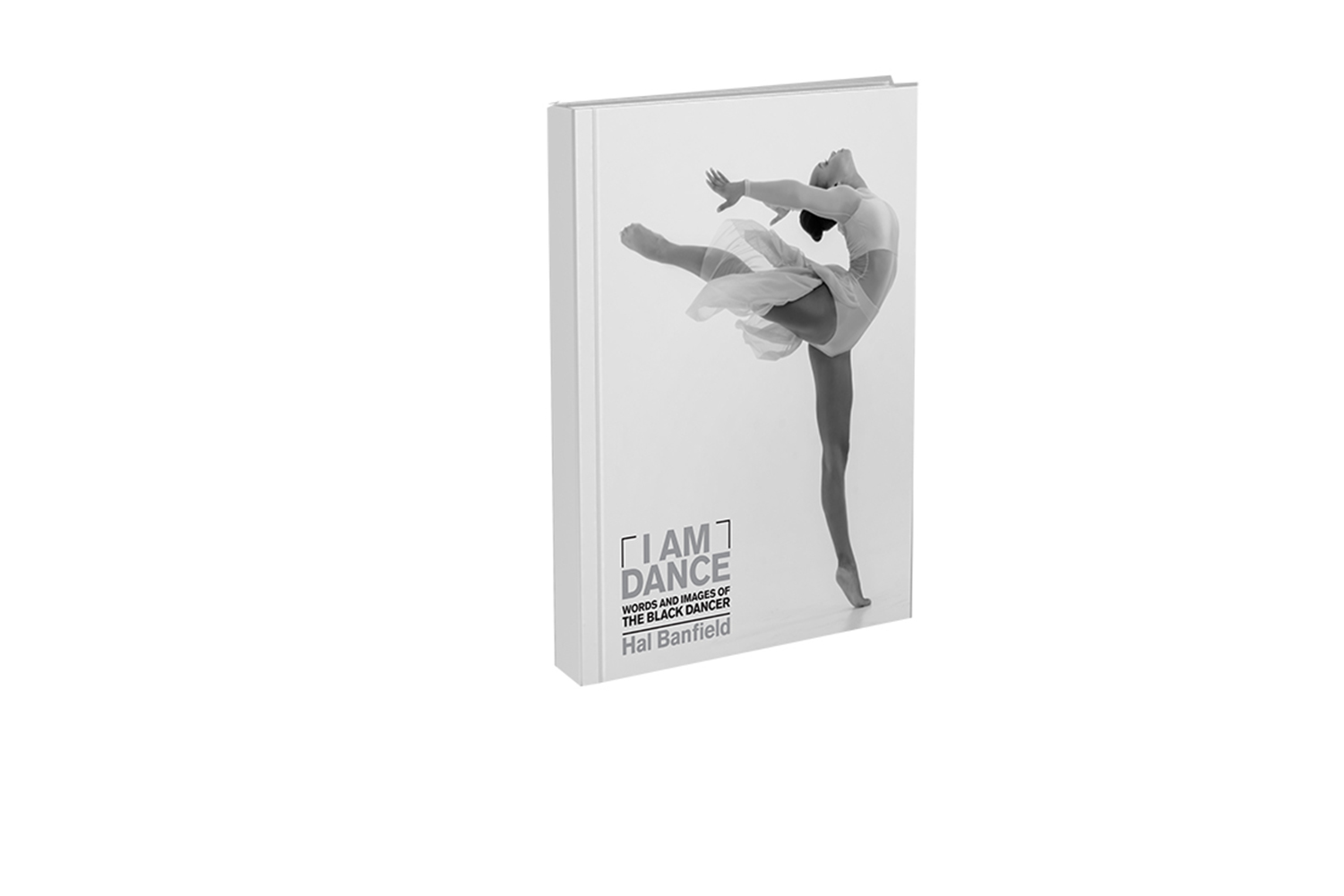 checkout book cover3.jpg