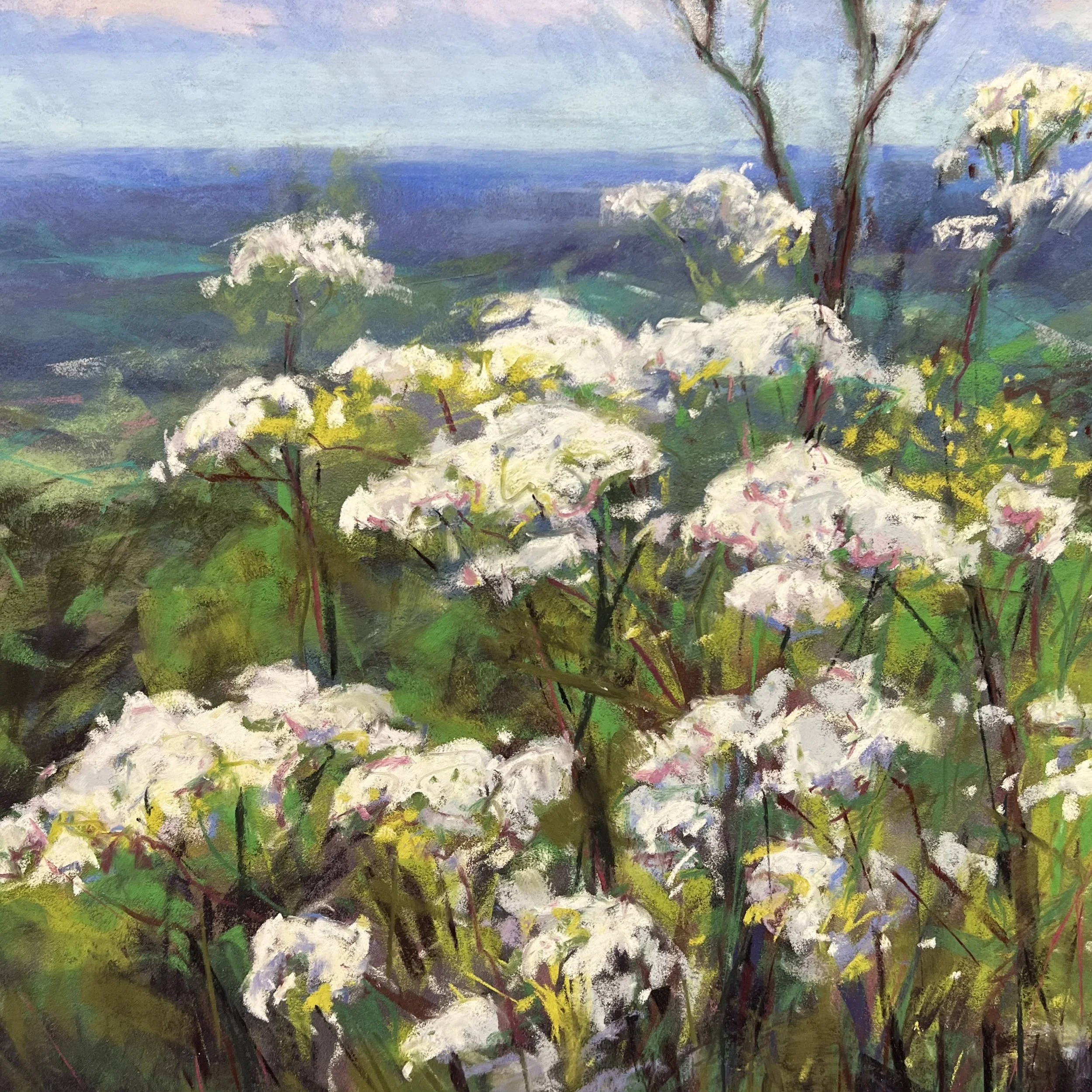 Cow Parsley on the Hills - SOLD