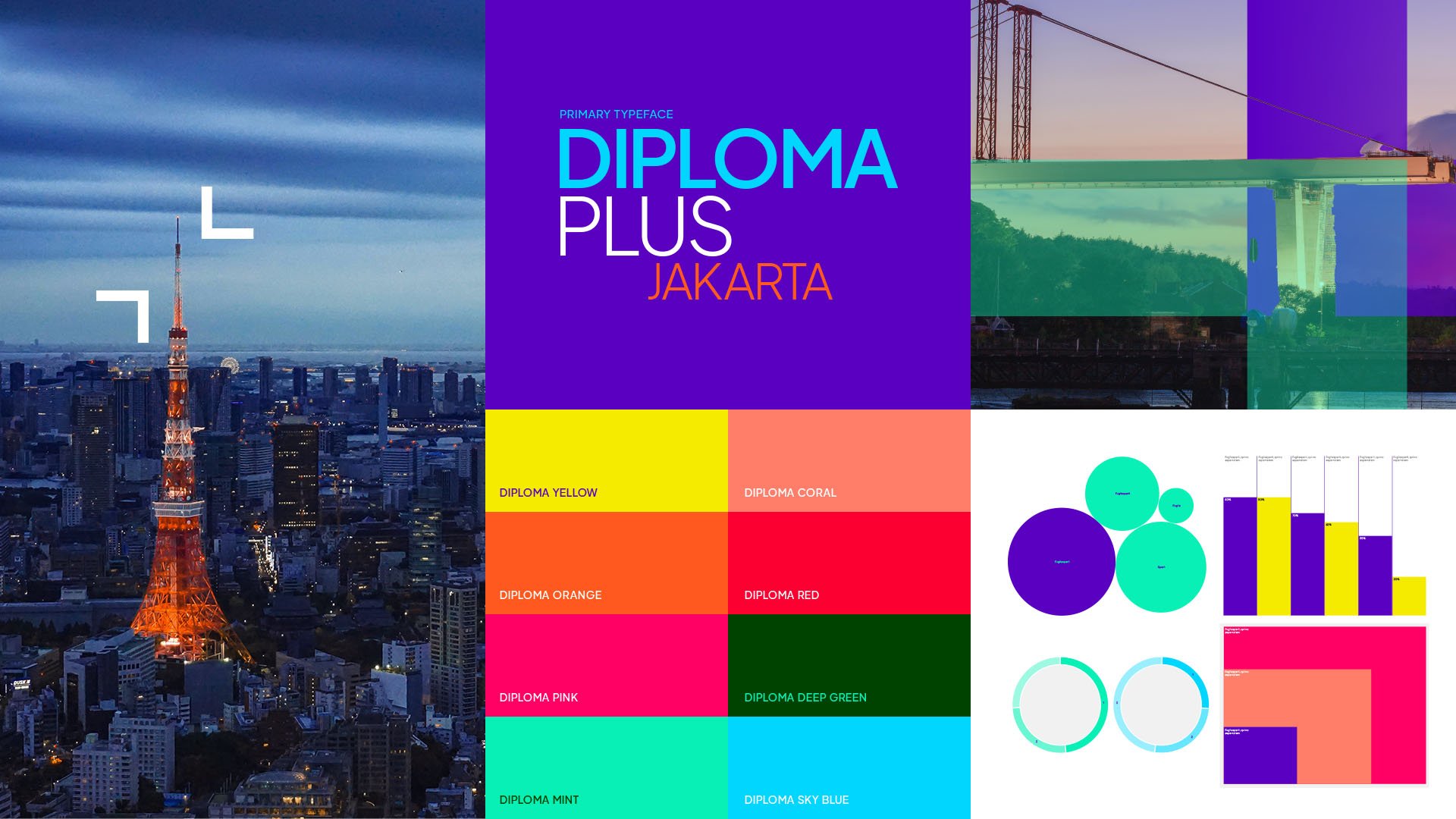 Diploma-Brand-03.jpg