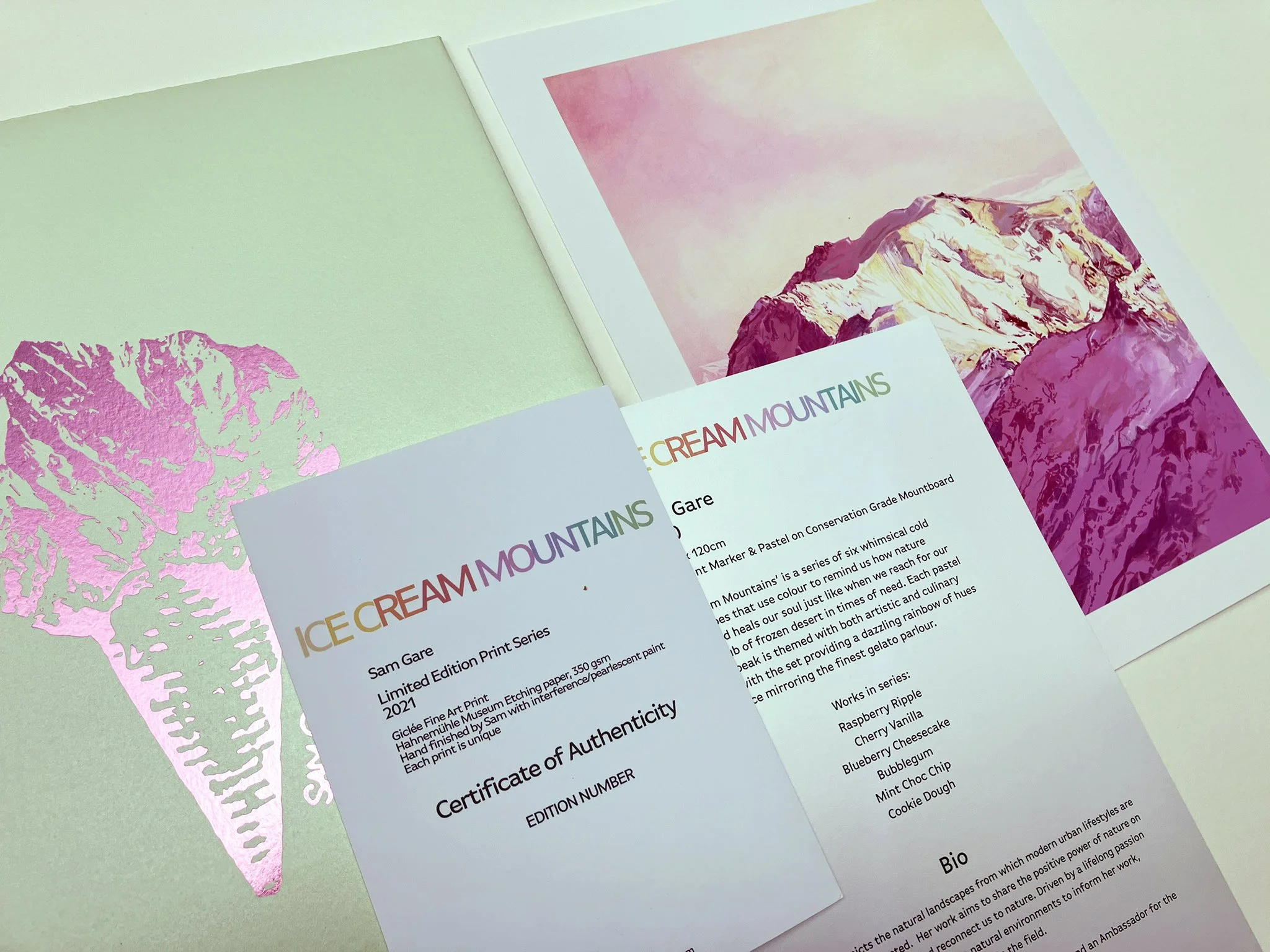 Raspberry Ripple Print Portfolio