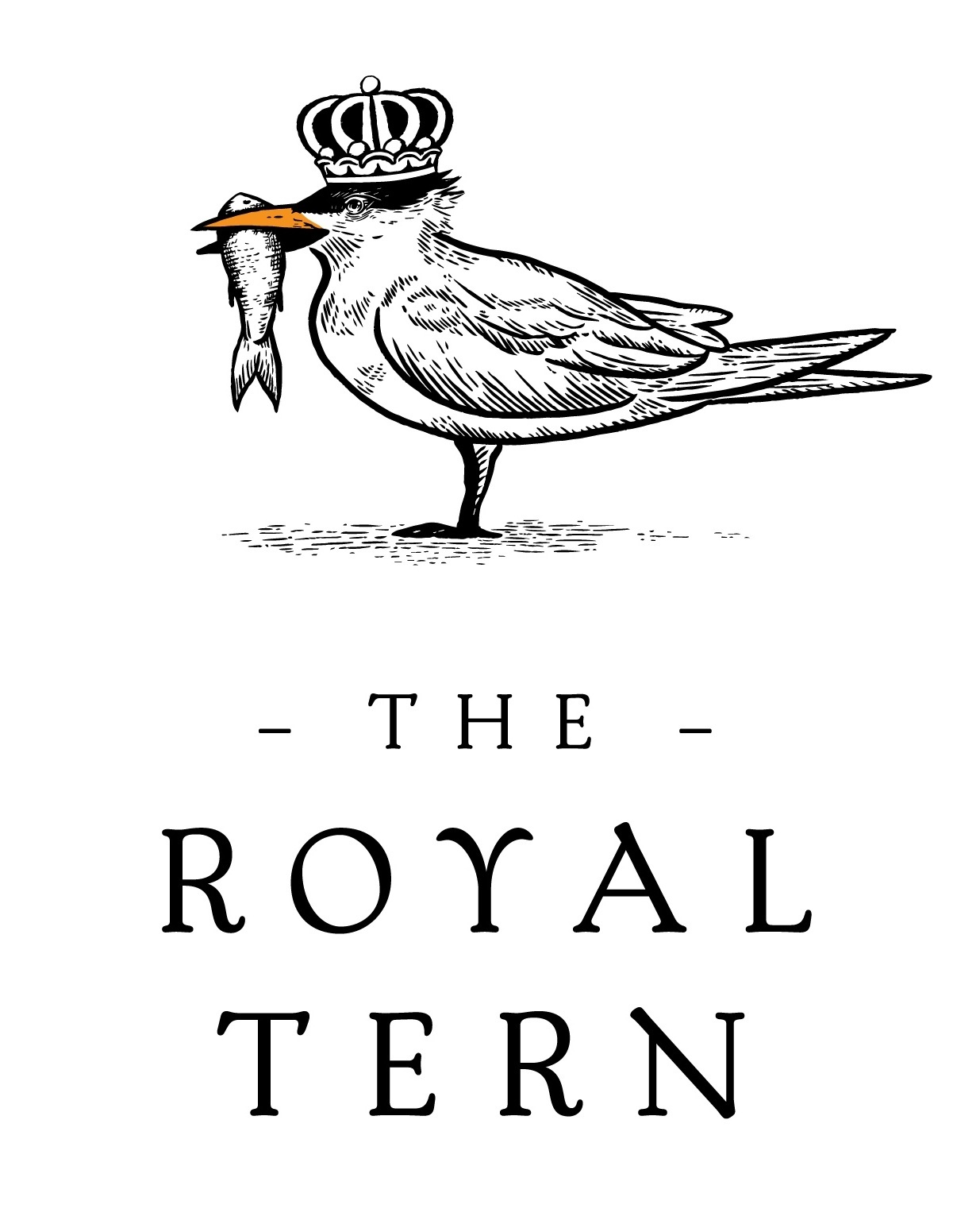 The Royal Tern