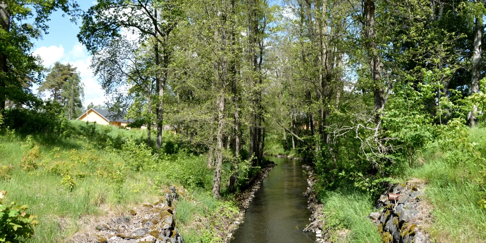 Miljö_1_2.jpg