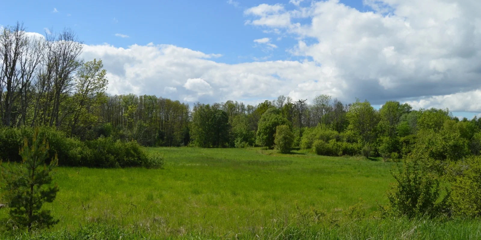 Miljö_3.jpg