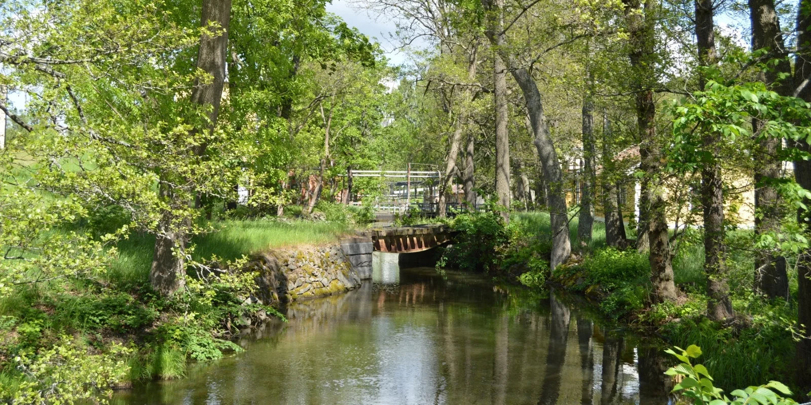 Miljö_5.jpg
