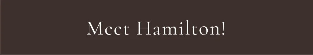 Meet Hamilton