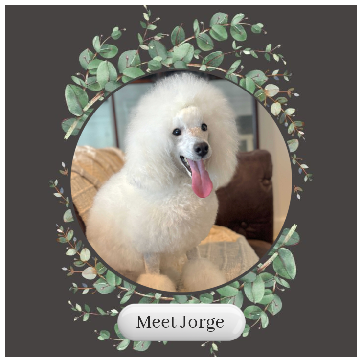 Meet-Jorge-Card.png