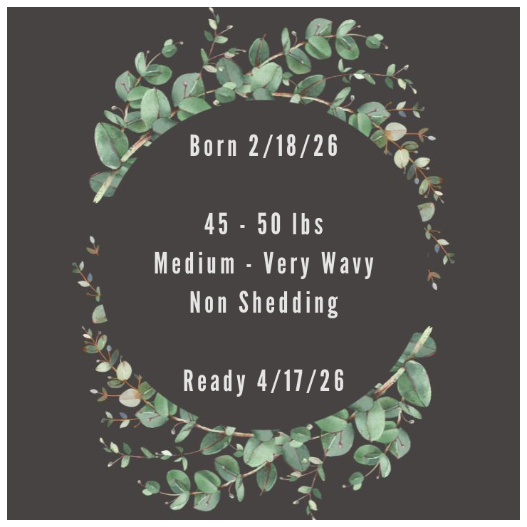 Description-Card.png (Copy) (Copy) (Copy) (Copy) (Copy)