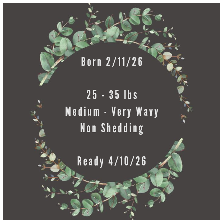 Description-Card.png (Copy) (Copy)