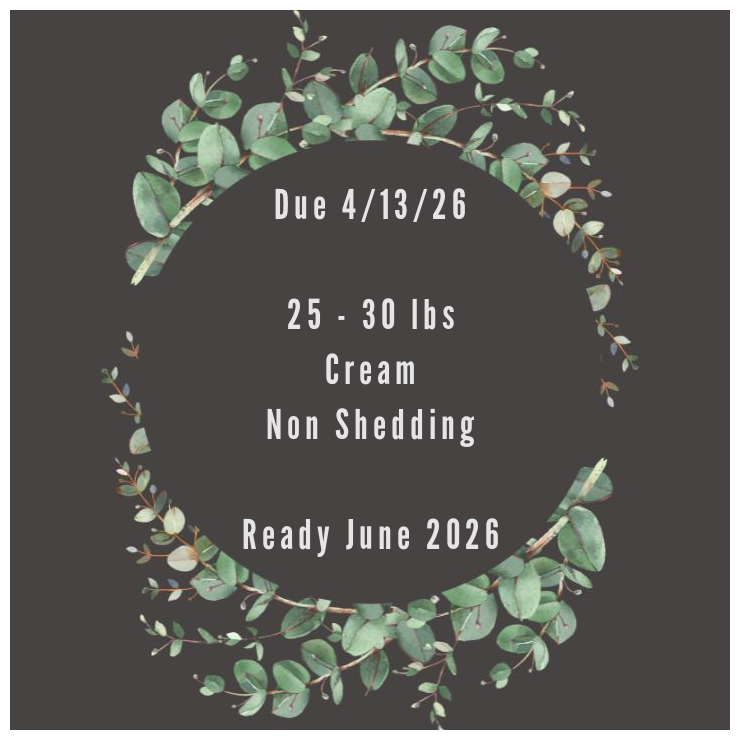 Piper And Ollie Description Card.png