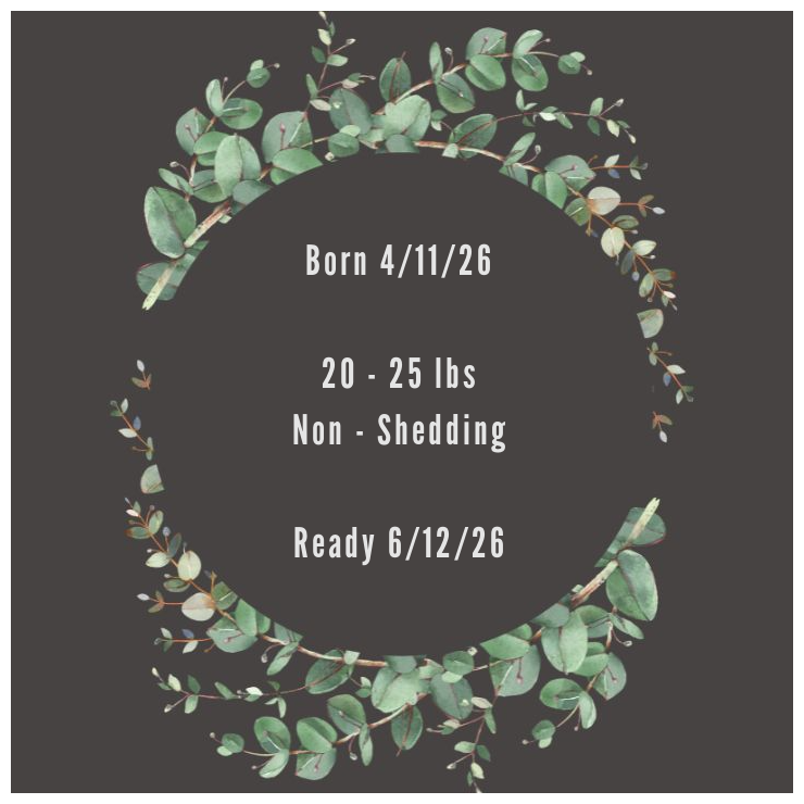 Hailey Card.png (Copy)