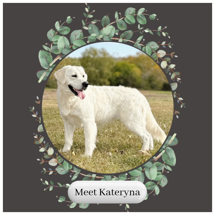 Kateryna And Lincoln Card.png