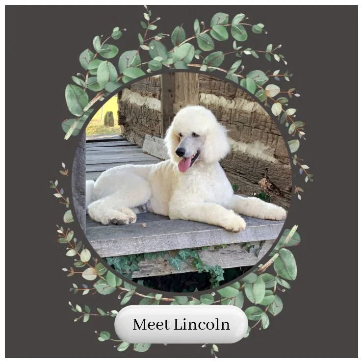 Lincoln Card.jpg