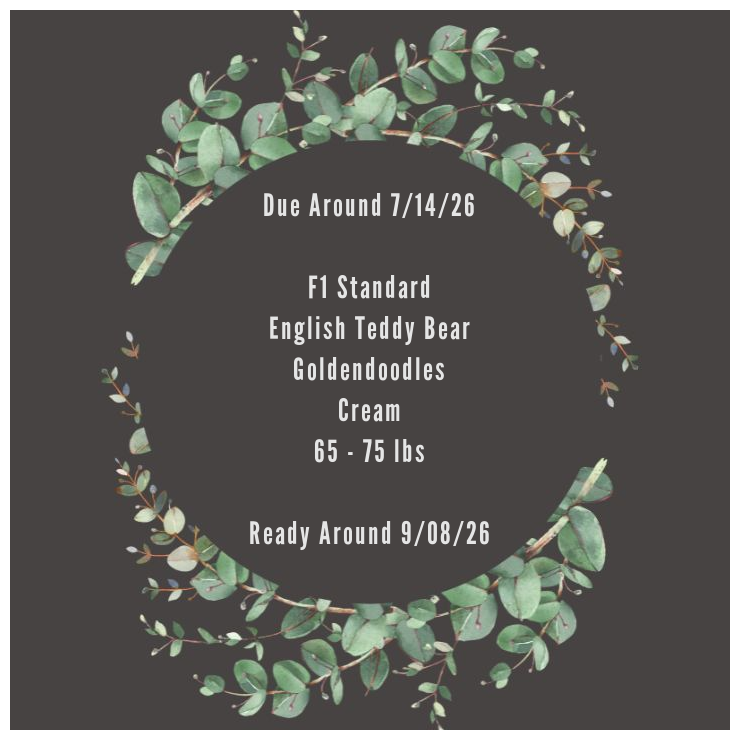 Kateryna & Lincoln Due Ready Card.png