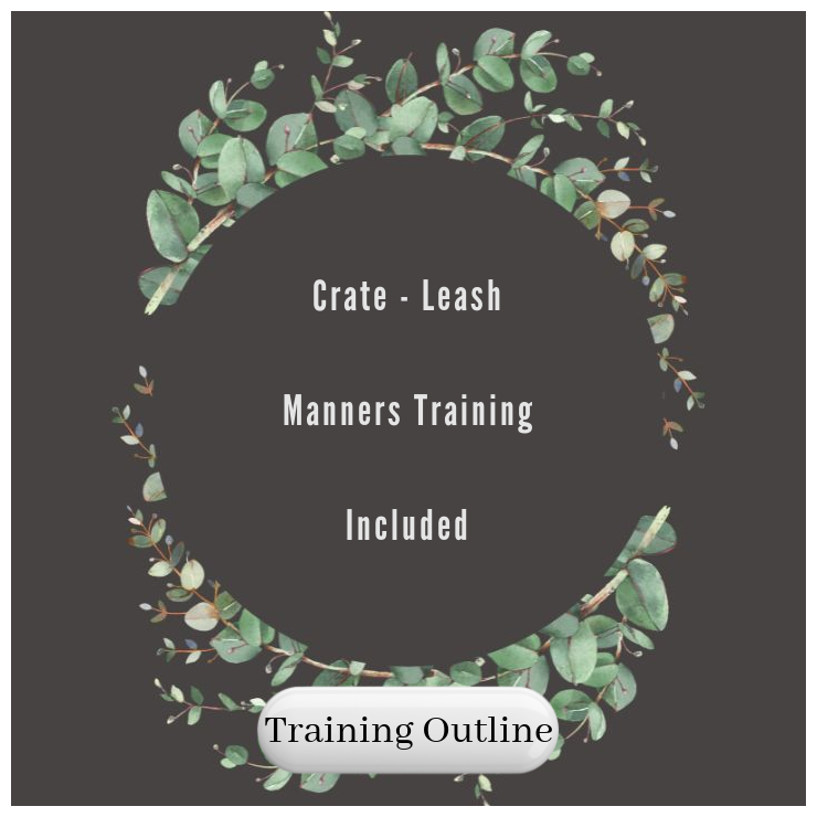 Training Outline.png