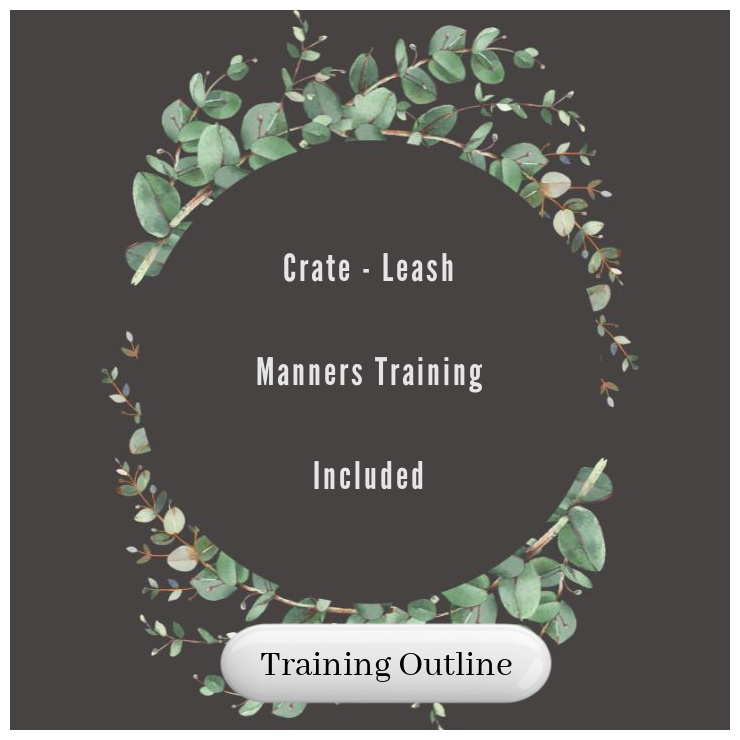 Training Included.png