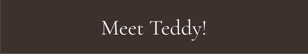 Meet Teddy