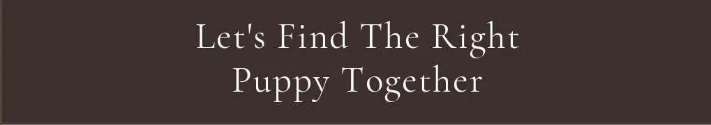 Lets Find The Right Puppy Together