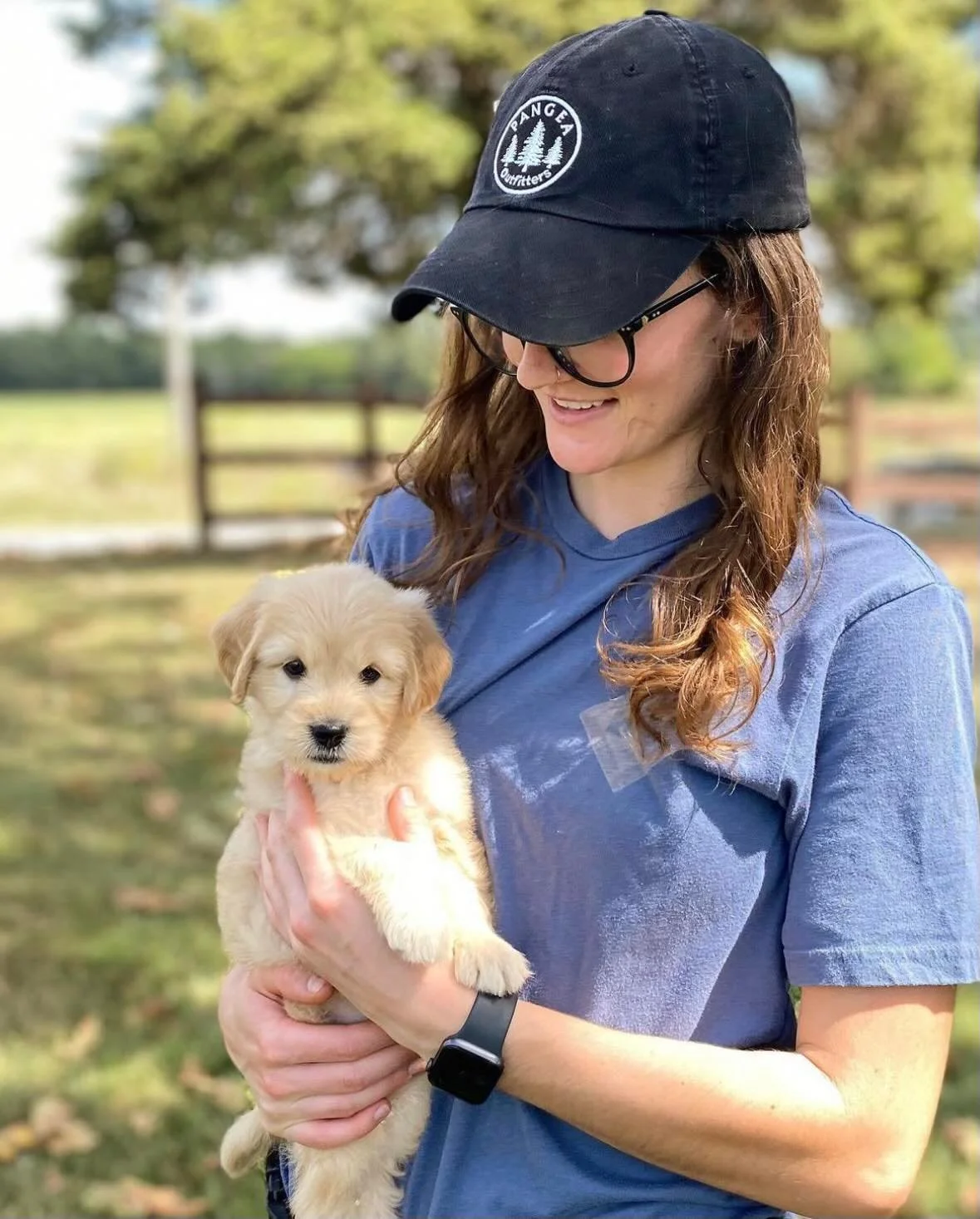 Curated visual reference: Curated High Rise Puppy Training Advice Gallery View 37