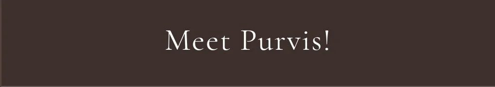 Meet Purvis