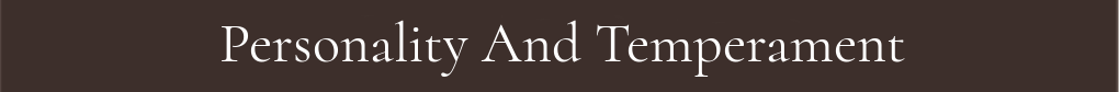 Personality And Temperament
