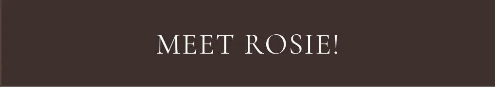 Rosie Brown Phantom Female F2b Small English Teddy Bear Goldendoodle Puppy For Sale Okefeild Acres Missouri