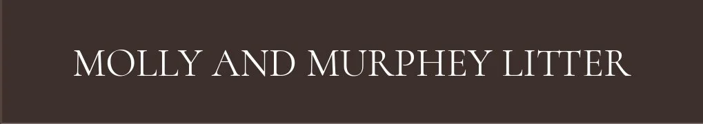 Molly And Murphey litter