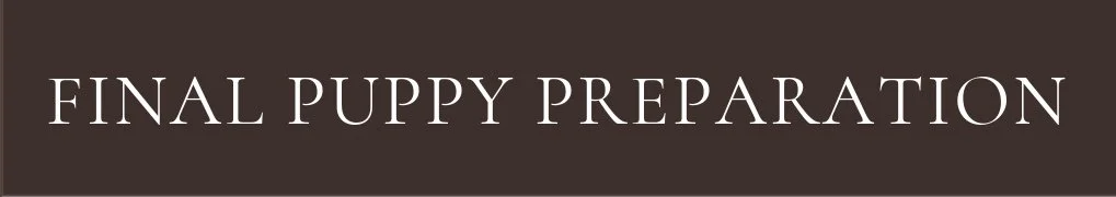 Final Puppy Preparation