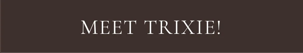 Meet Trixie