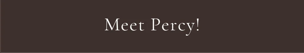 Meet Percy