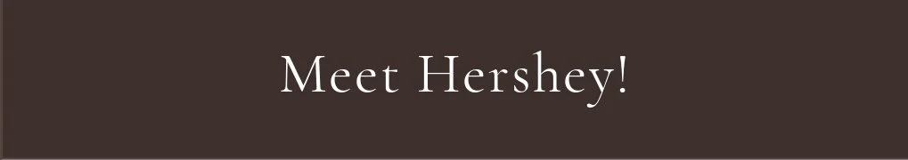 Meet Hershey