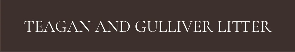 Teagan And Gulliver Litter