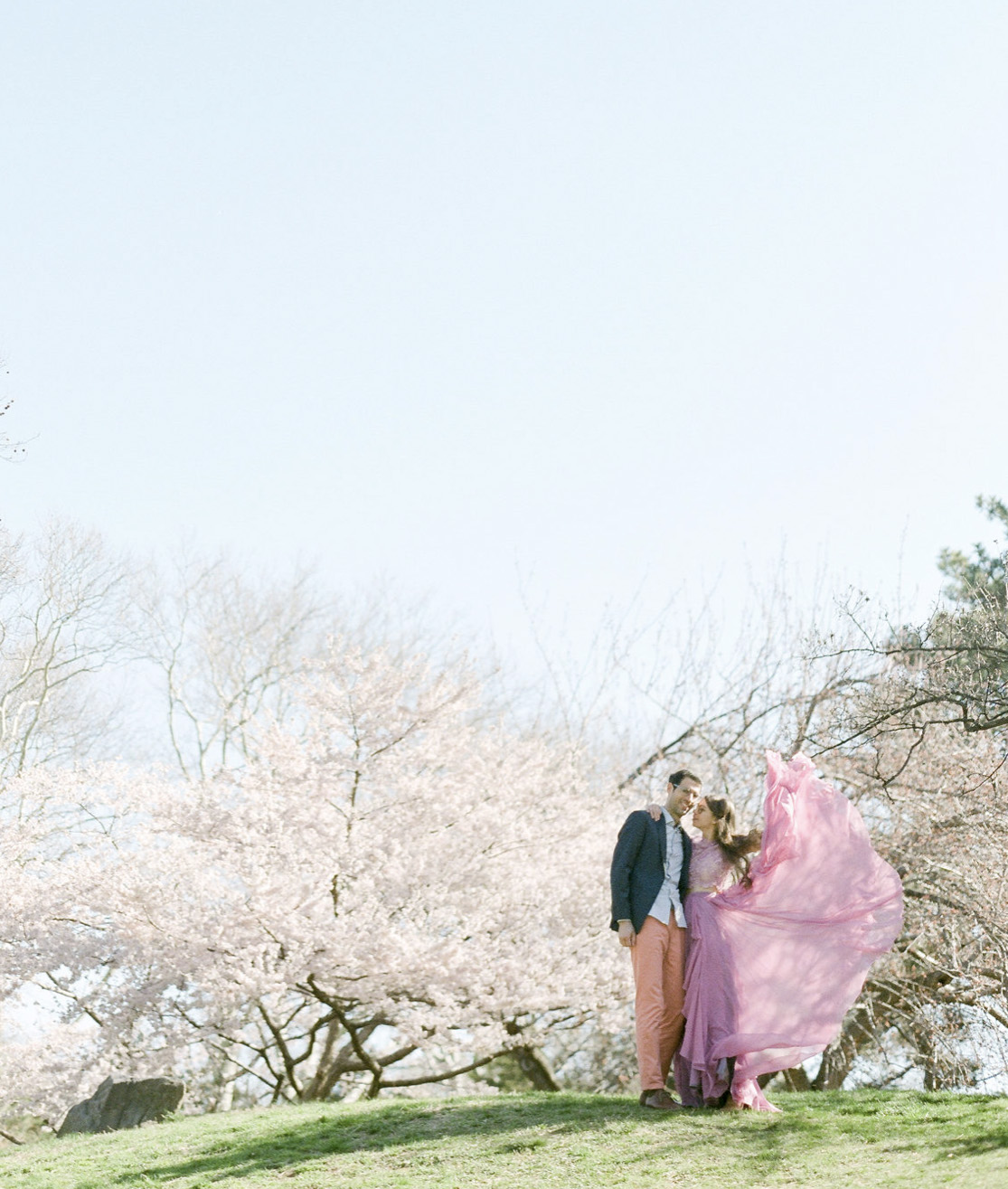 Screen Shot 2018-06-23 at 1.12.11 PM.jpg