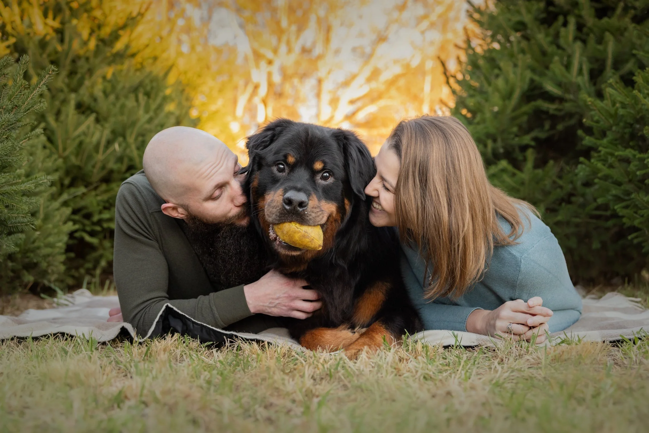 family pet photo shoot, Richmond, Virginia, Rottweiler
