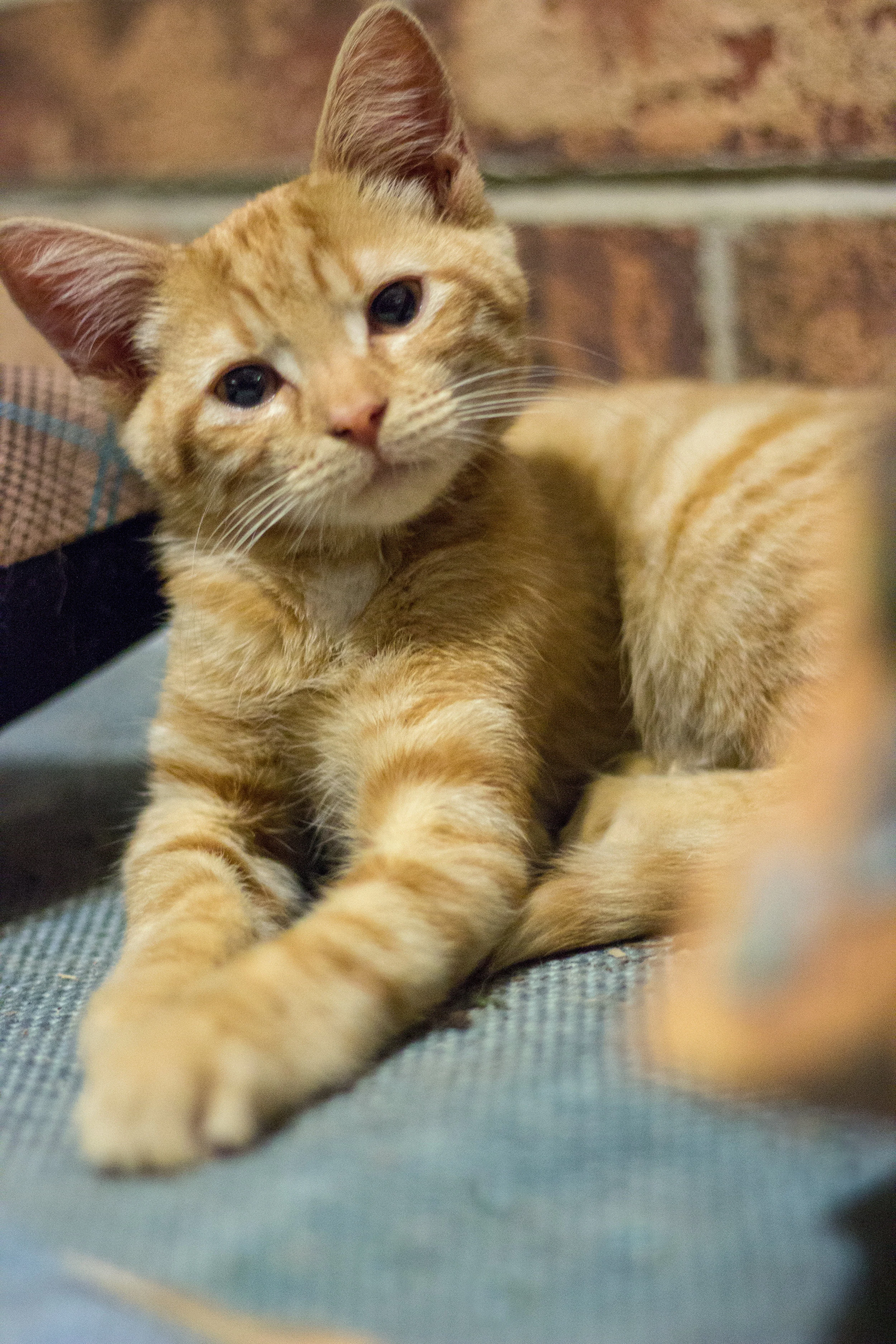 This was all preventable. 