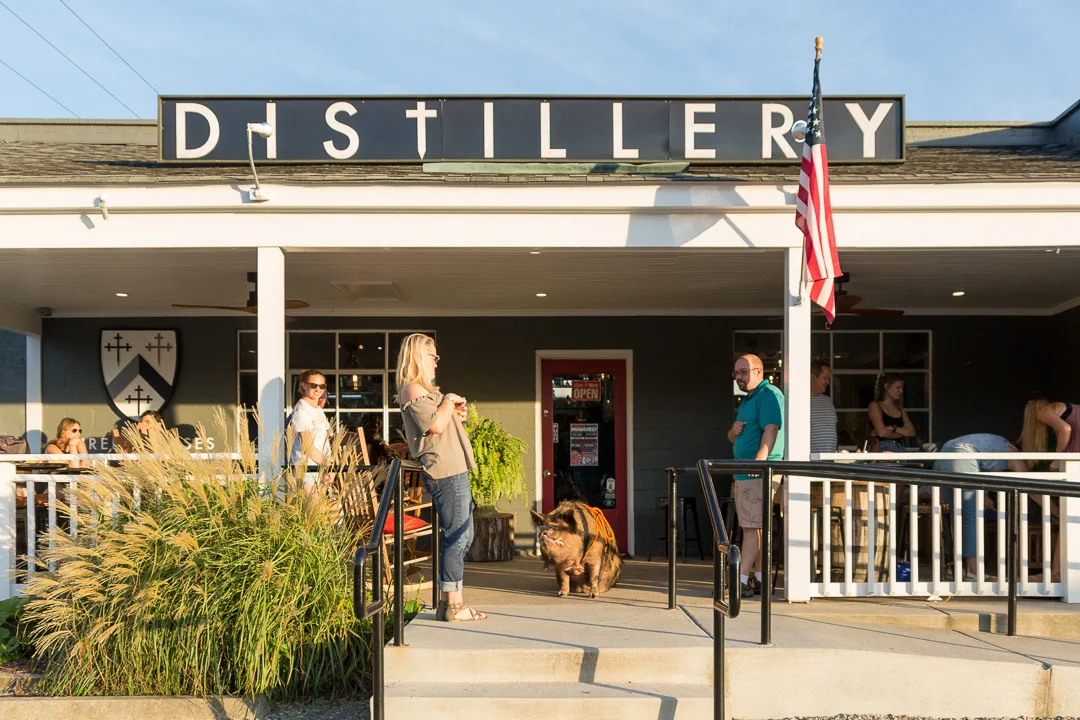 Look at you! You have a PIG... in a bar!