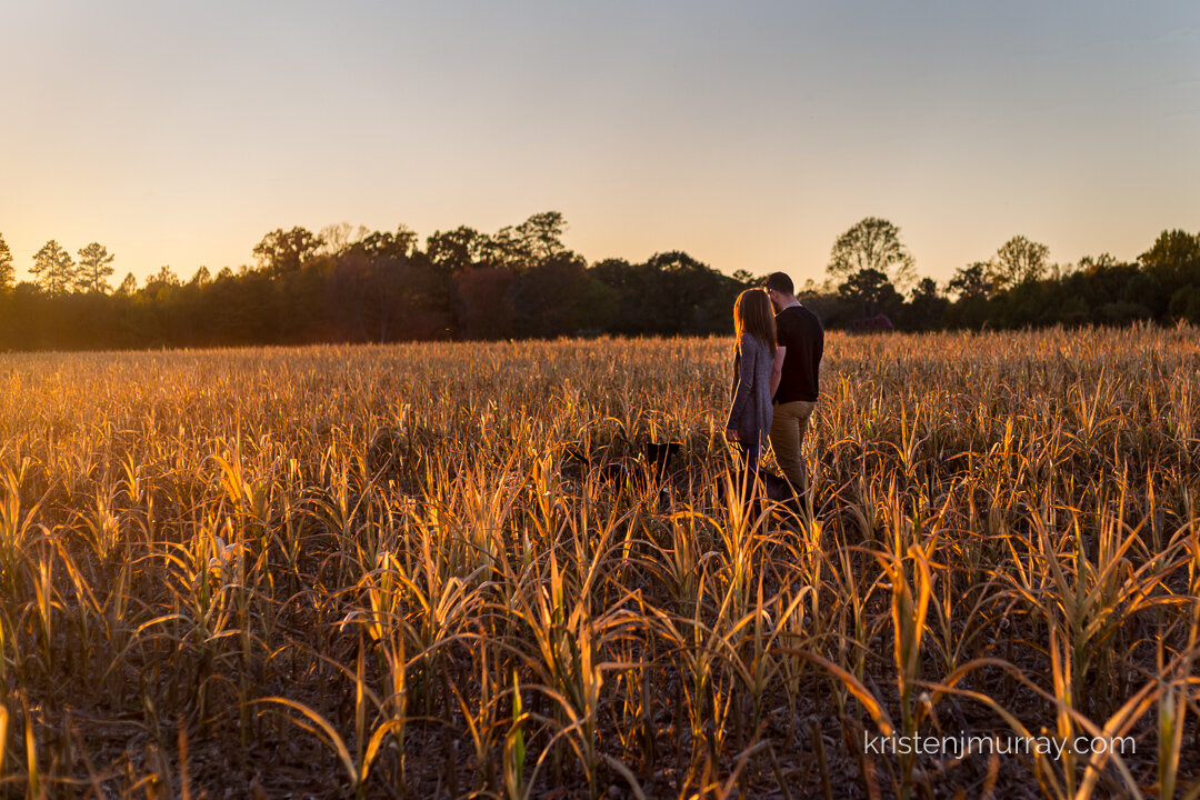 coupleincornfieldgoldenhour