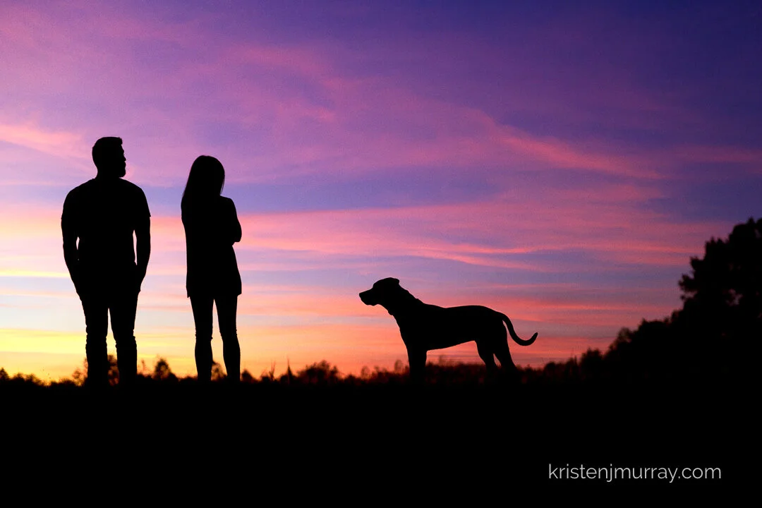sunsetsilhouettedog
