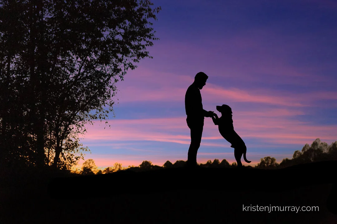 manwithdogsilhouette