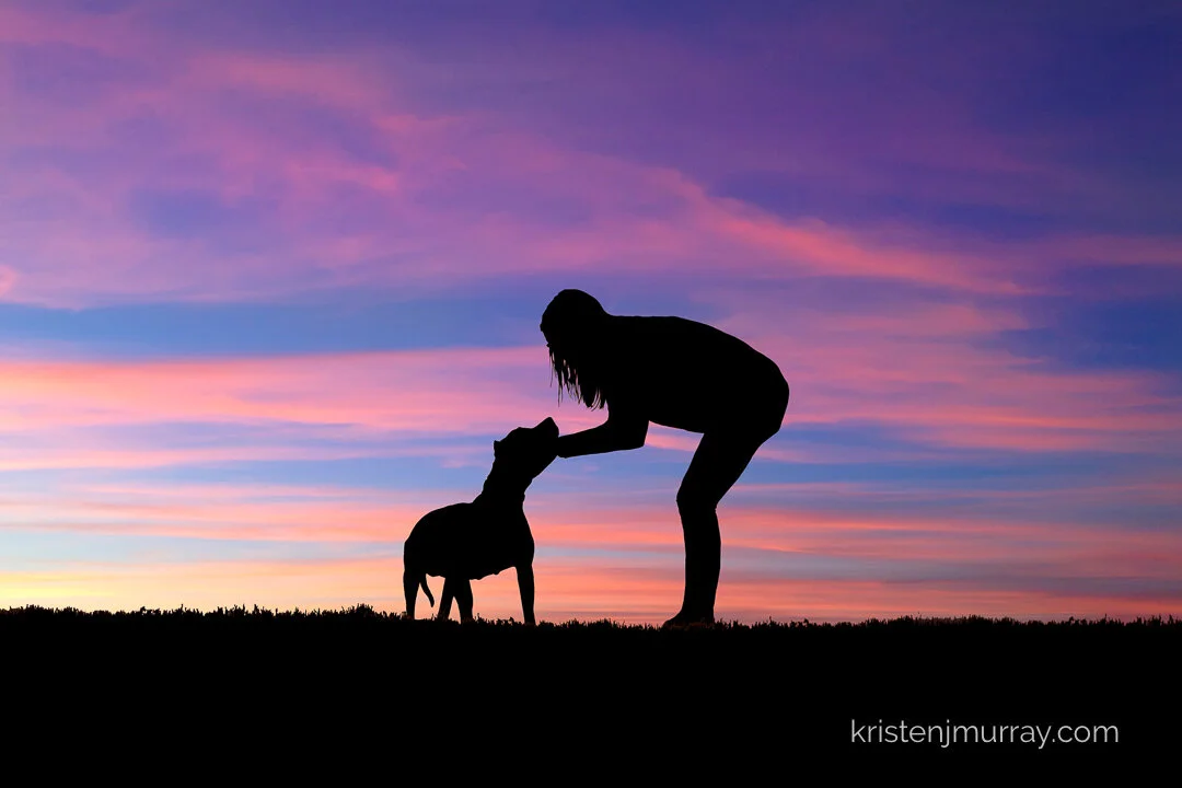 momandpitbulldogsilhouette